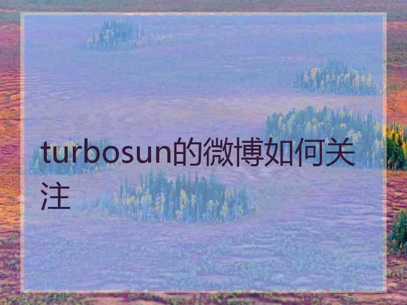 turbosun的微博如何关注