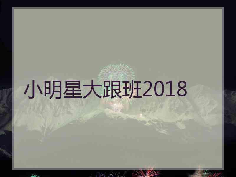 小明星大跟班2018