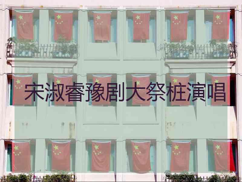 宋淑睿豫剧大祭桩演唱