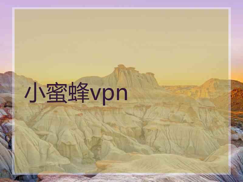 小蜜蜂vpn