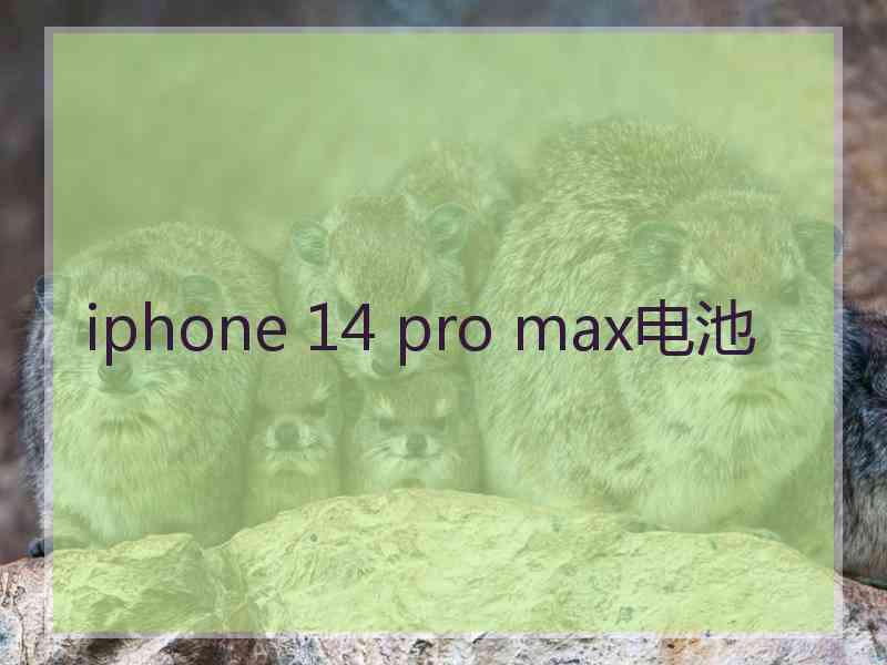 iphone 14 pro max电池