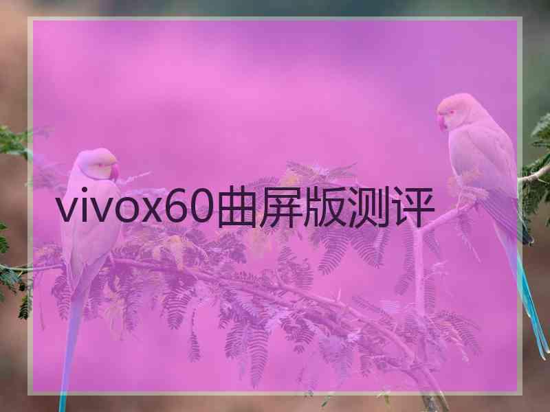 vivox60曲屏版测评