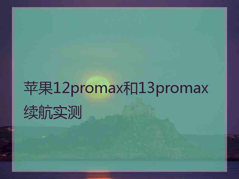 苹果12promax和13promax续航实测