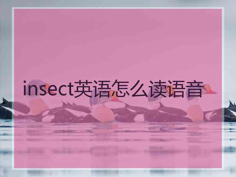 insect英语怎么读语音