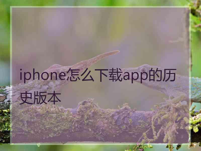 iphone怎么下载app的历史版本