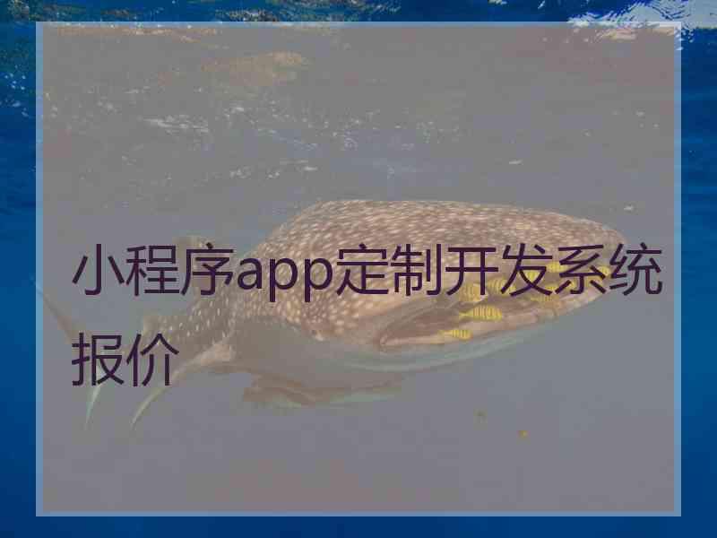 小程序app定制开发系统报价