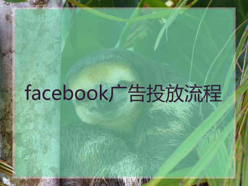 facebook广告投放流程