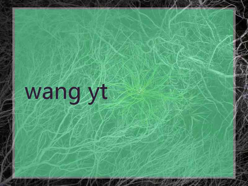 wang yt