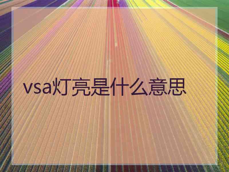 vsa灯亮是什么意思