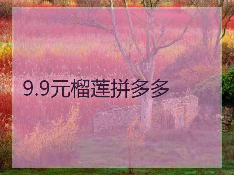 9.9元榴莲拼多多