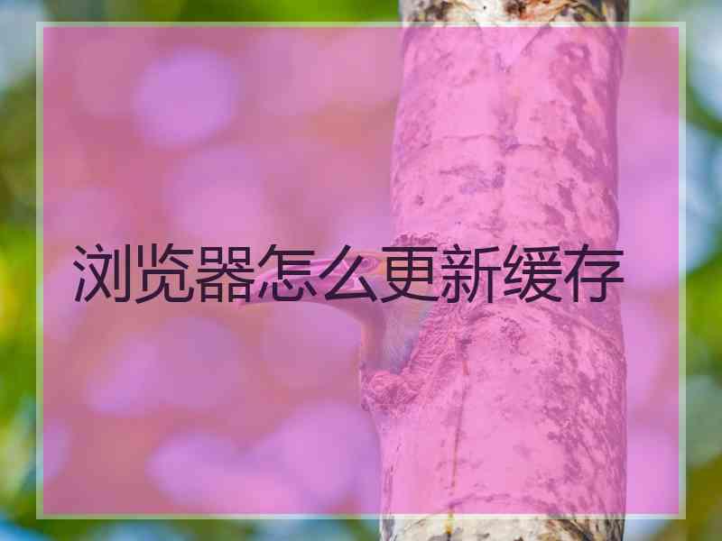 浏览器怎么更新缓存