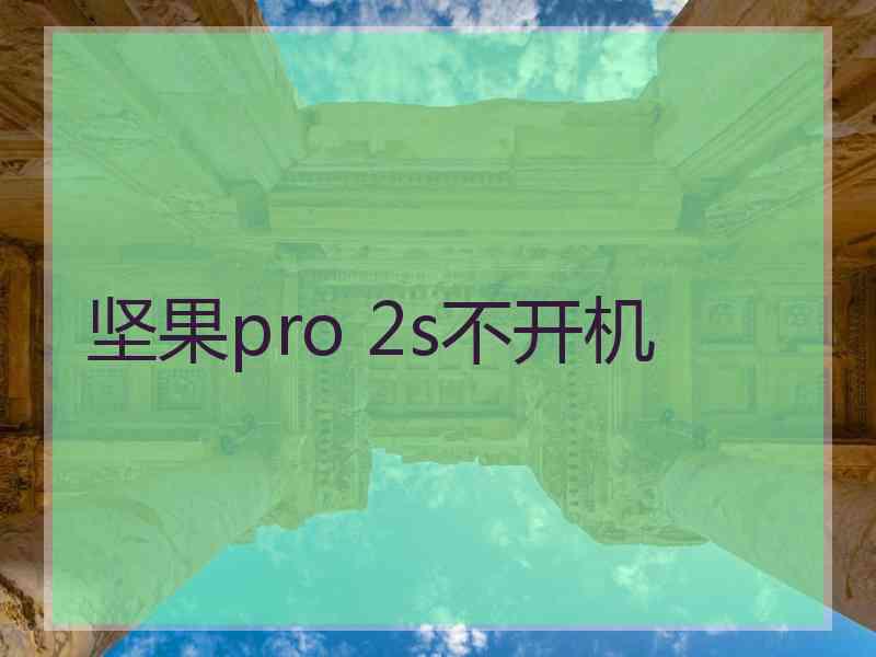 坚果pro 2s不开机