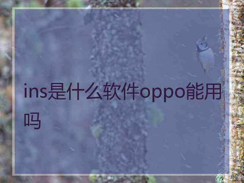 ins是什么软件oppo能用吗