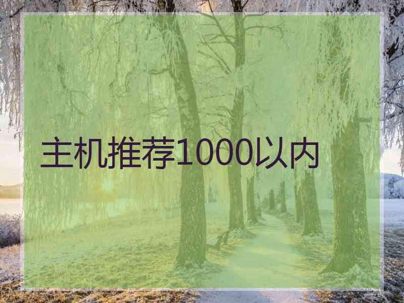 主机推荐1000以内