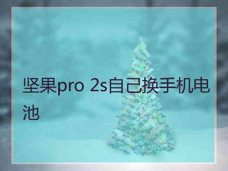 坚果pro 2s自己换手机电池