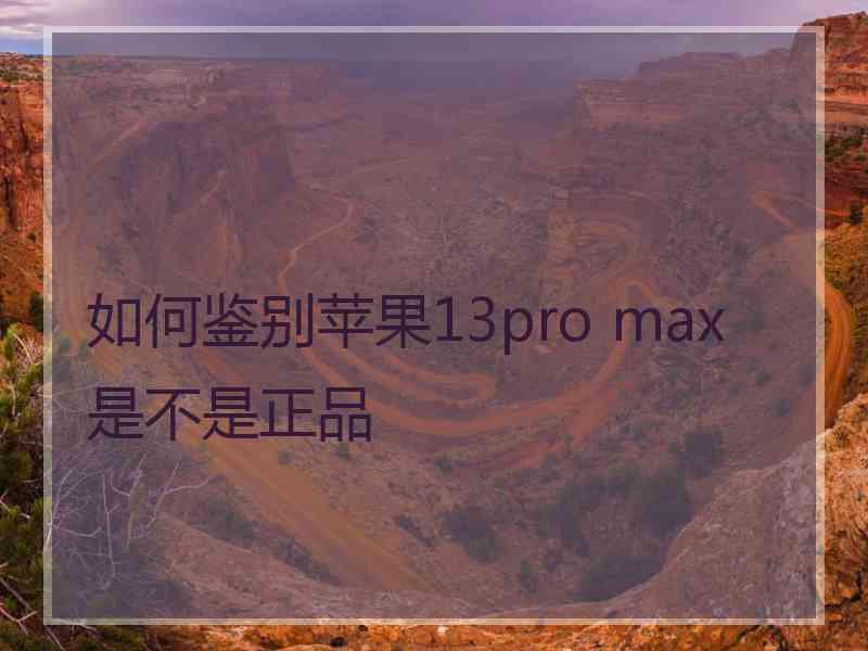 如何鉴别苹果13pro max是不是正品