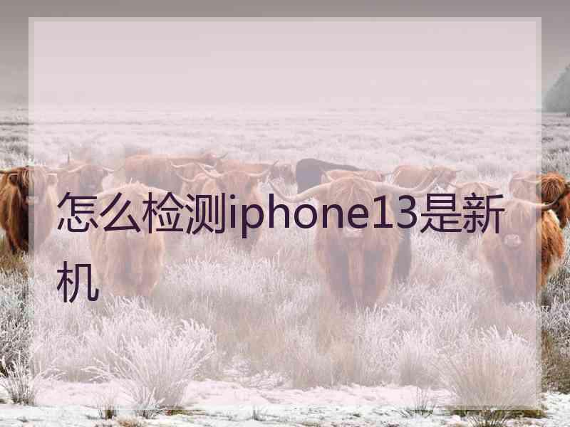 怎么检测iphone13是新机