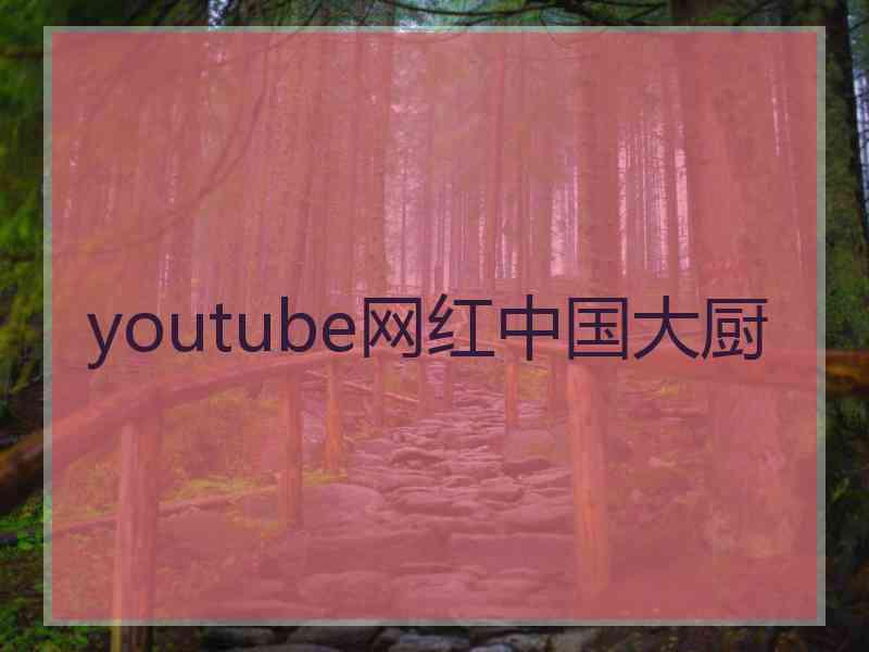 youtube网红中国大厨