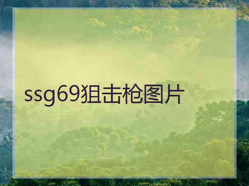 ssg69狙击枪图片