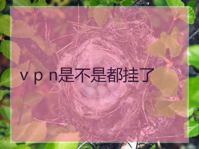 v p n是不是都挂了