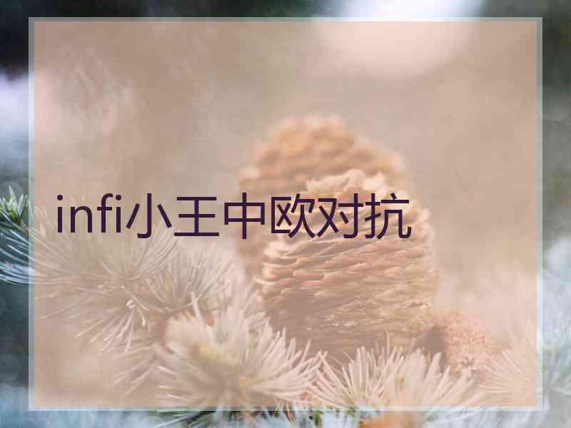 infi小王中欧对抗