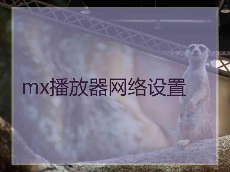 mx播放器网络设置