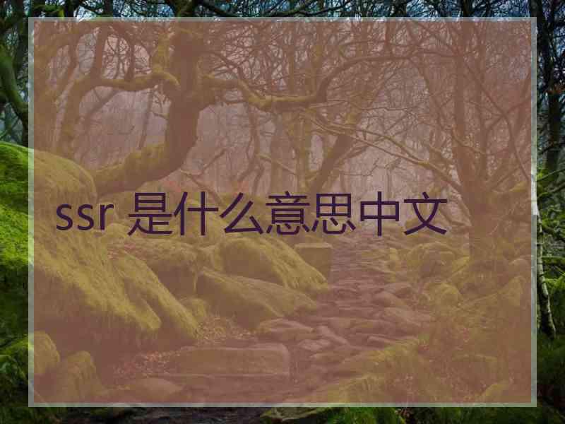 ssr 是什么意思中文