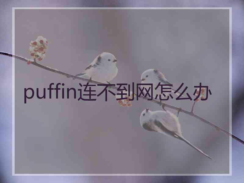 puffin连不到网怎么办