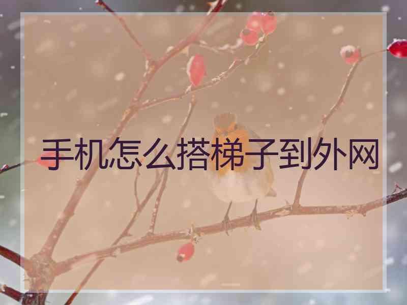 手机怎么搭梯子到外网