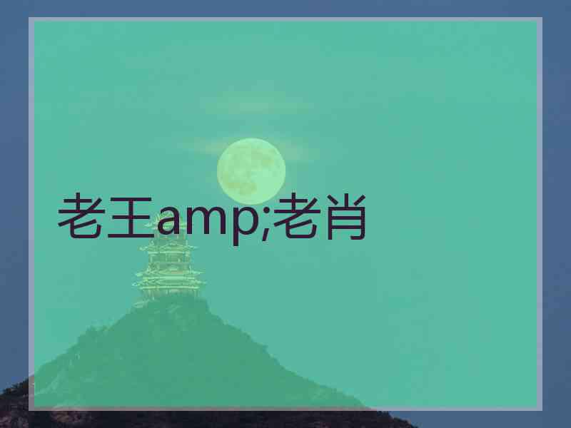 老王amp;老肖