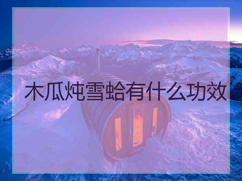 木瓜炖雪蛤有什么功效