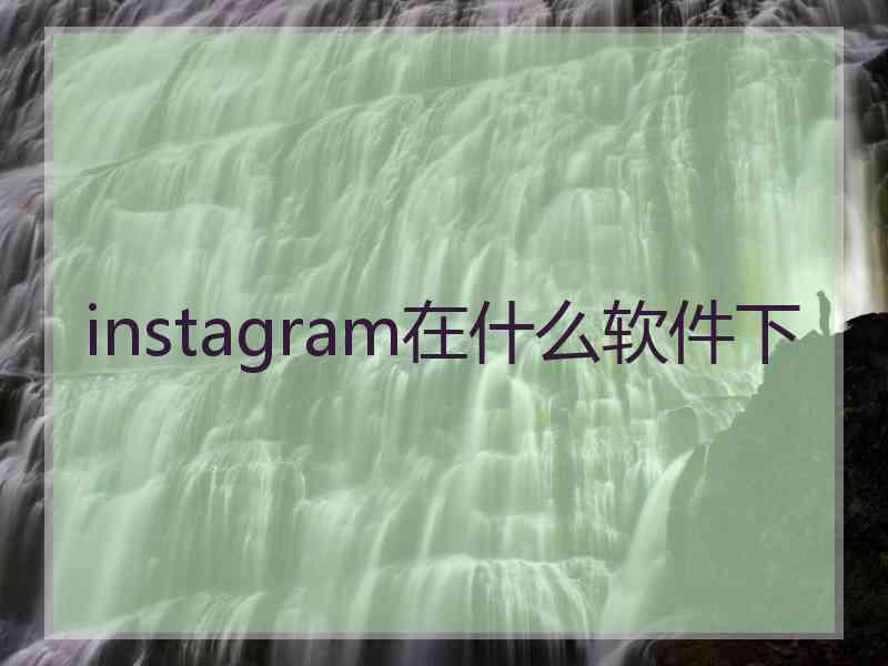 instagram在什么软件下