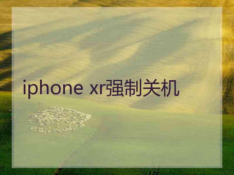 iphone xr强制关机