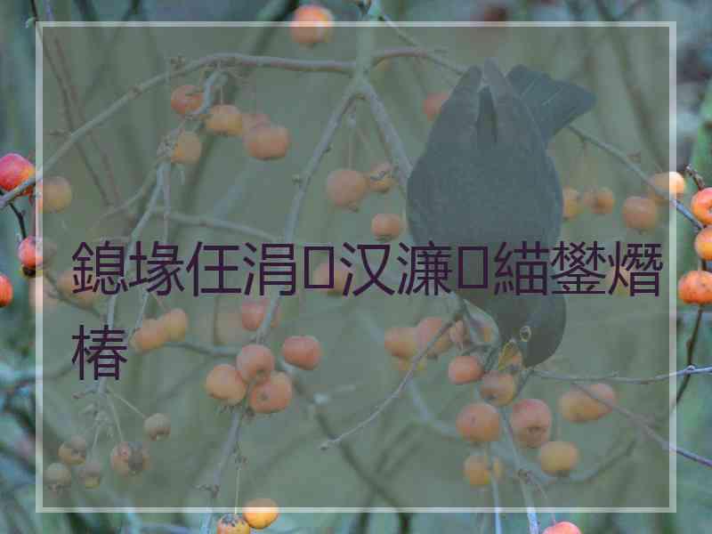 鎴堟仼涓汉濂緢鐢熸椿