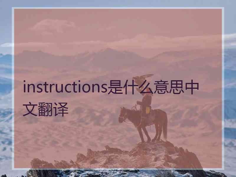 instructions是什么意思中文翻译