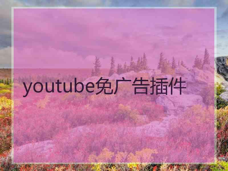 youtube免广告插件