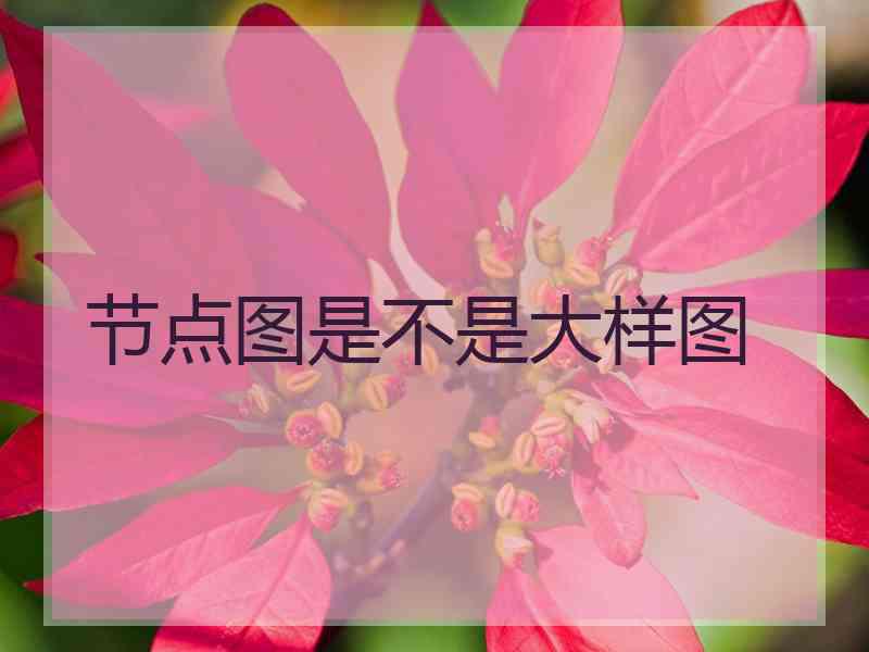 节点图是不是大样图