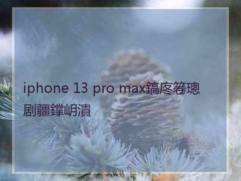 iphone 13 pro max鎬庝箞璁剧疆鐣岄潰