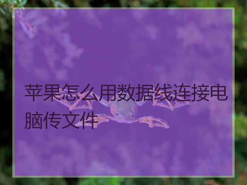 苹果怎么用数据线连接电脑传文件