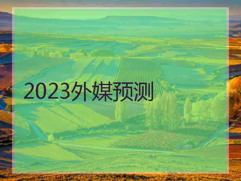 2023外媒预测