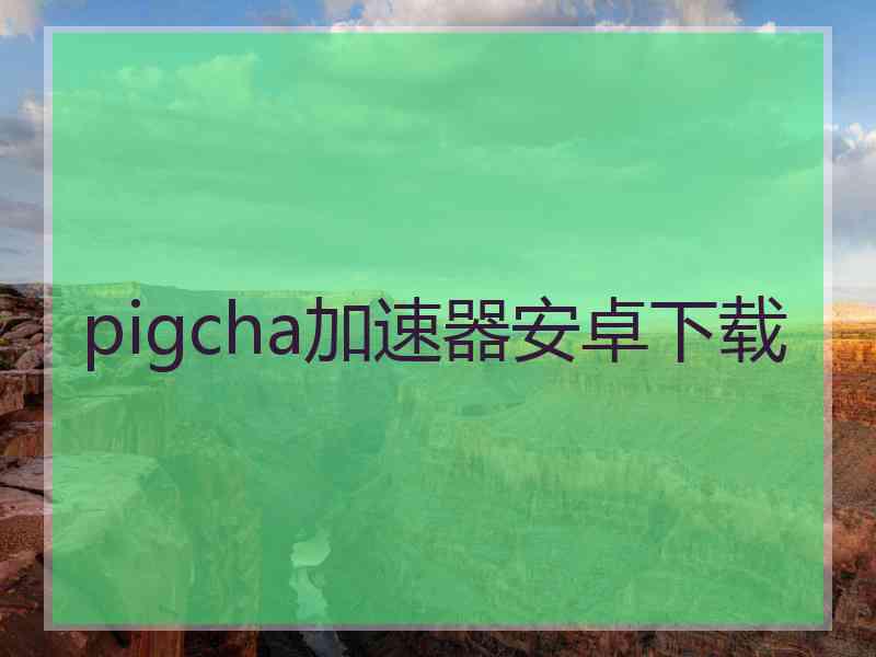 pigcha加速器安卓下载