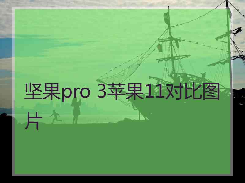 坚果pro 3苹果11对比图片