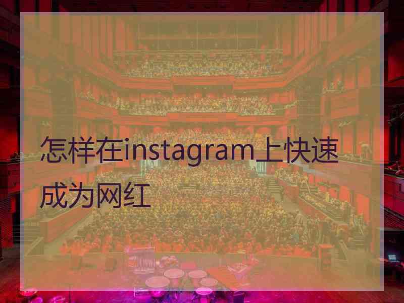 怎样在instagram上快速成为网红