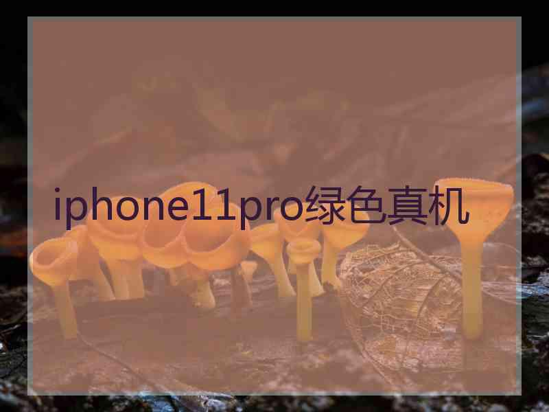 iphone11pro绿色真机