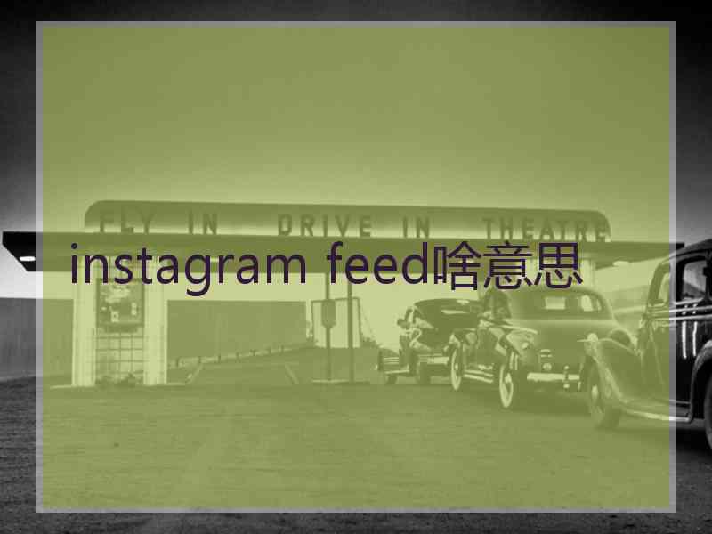 instagram feed啥意思