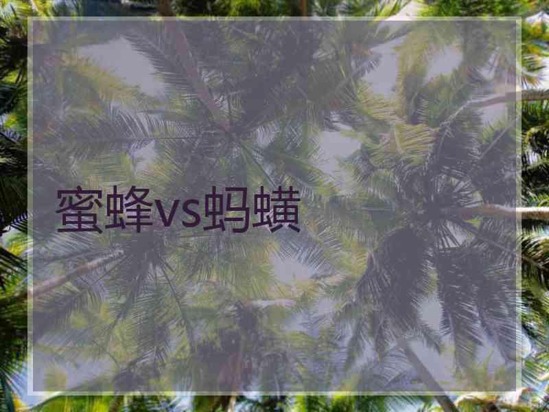 蜜蜂vs蚂蟥