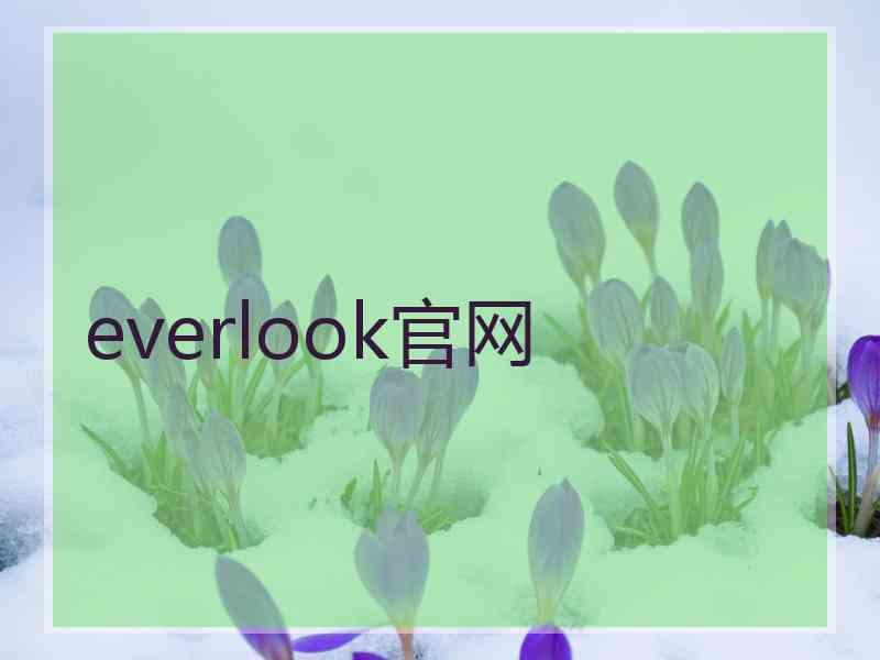 everlook官网