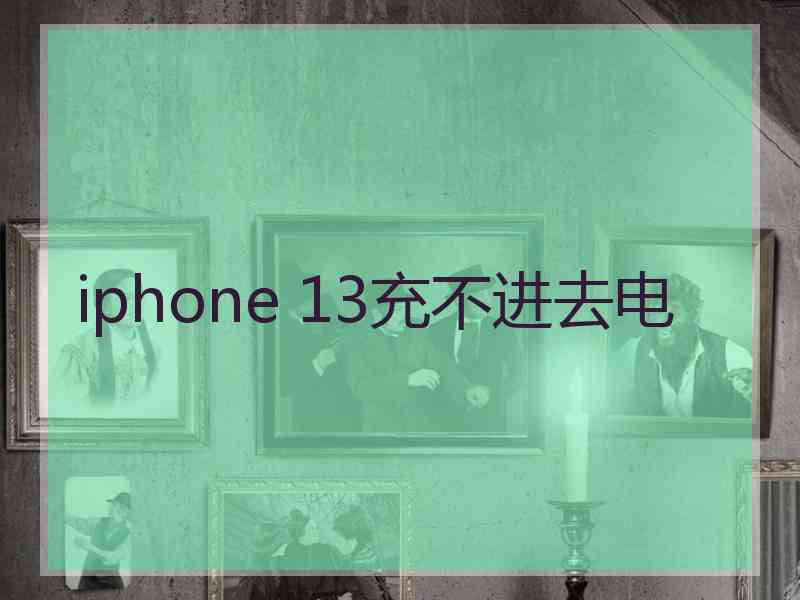 iphone 13充不进去电