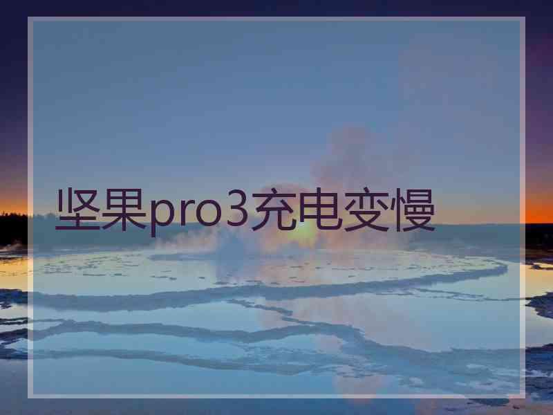 坚果pro3充电变慢