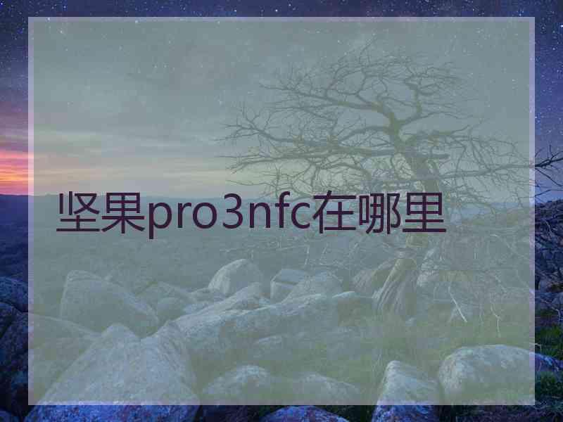 坚果pro3nfc在哪里